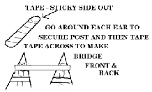 Ear Taping Diagram